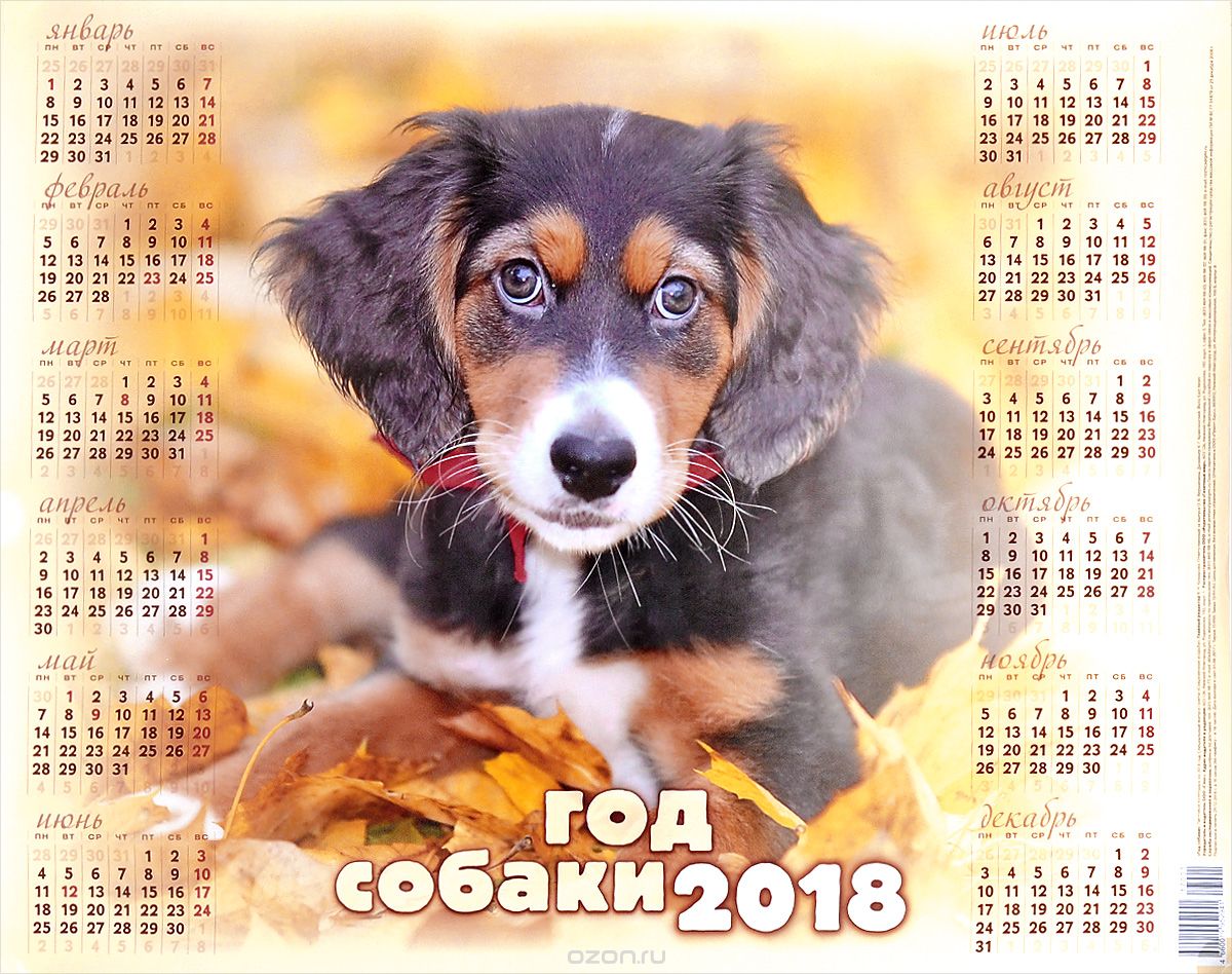 Год собаки история. Календарь 2018 года. Год собаки 2018. Календарь 2018 год собаки. Календарь 2018 с собакой.